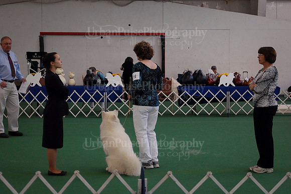 Obedience-3146