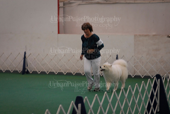 Obedience-3152