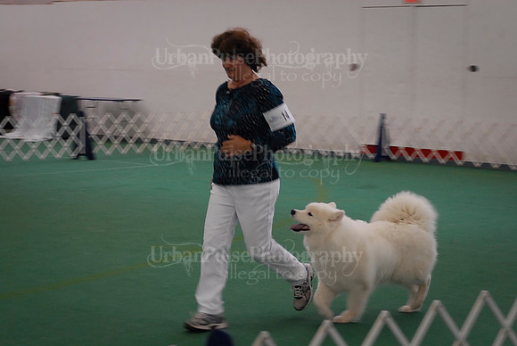 Obedience-3154