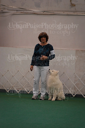 Obedience-3156