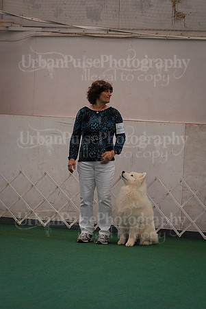 Obedience-3157