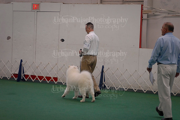 Obedience-3165