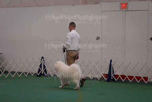 Obedience-3166