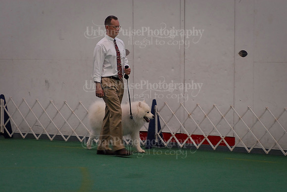 Obedience-3168