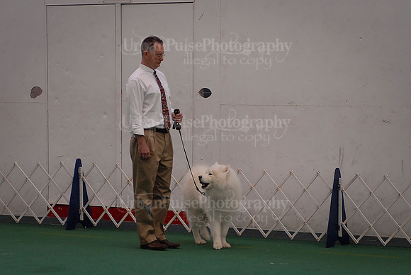 Obedience-3169
