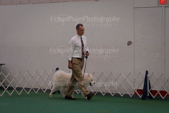 Obedience-3167