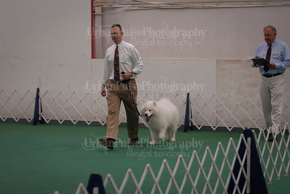 Obedience-3170