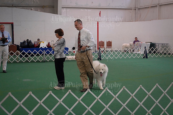 Obedience-3173