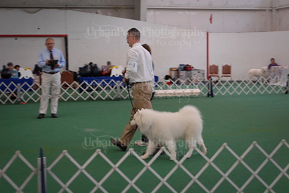 Obedience-3174