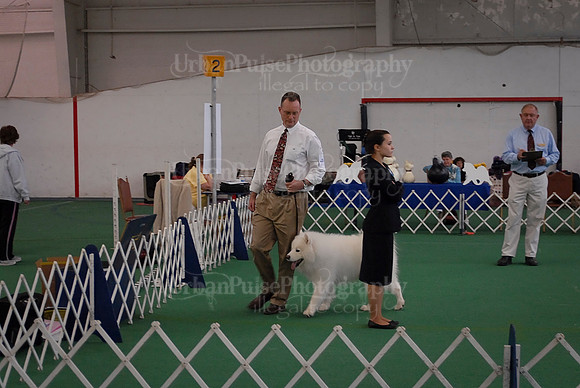 Obedience-3176