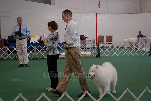 Obedience-3177