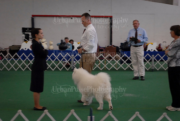 Obedience-3178
