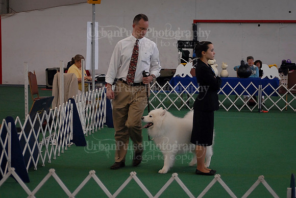 Obedience-3179