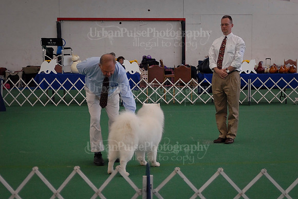 Obedience-3180
