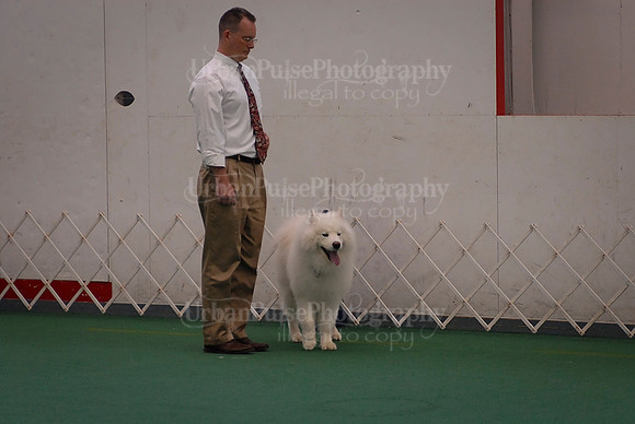 Obedience-3185