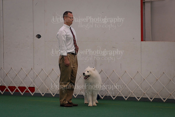 Obedience-3186