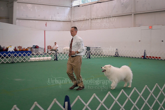 Obedience-3189