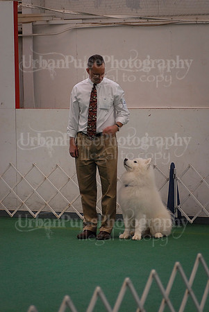 Obedience-3190