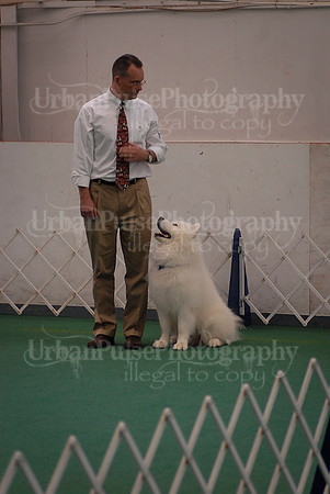 Obedience-3191