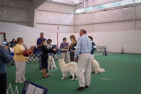 Obedience-3204