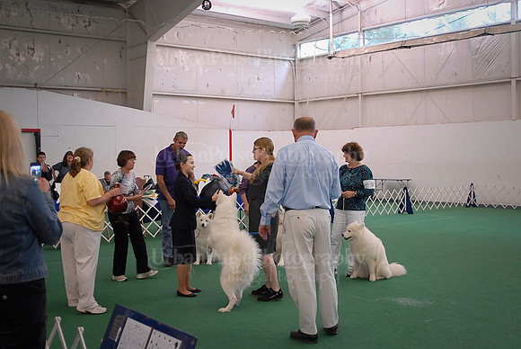 Obedience-3205