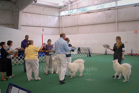Obedience-3207