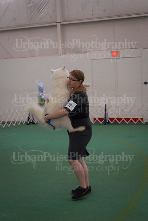 Obedience-3209
