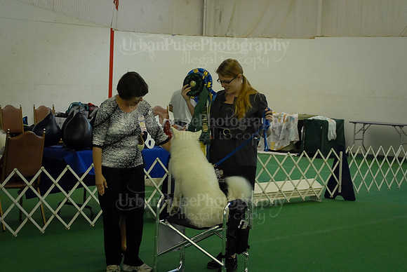 Obedience-3216