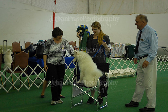 Obedience-3217