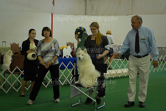 Obedience-3218