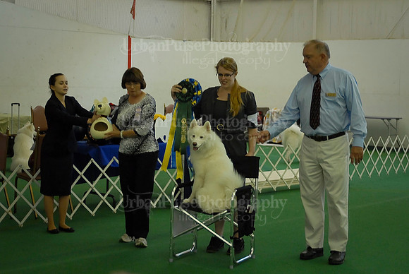 Obedience-3219