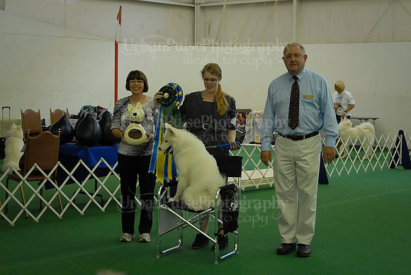 Obedience-3221