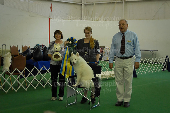 Obedience-3222