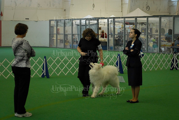 Obedience-3227
