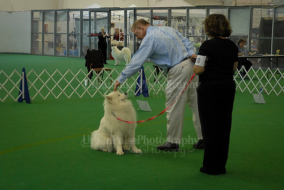 Obedience-3229
