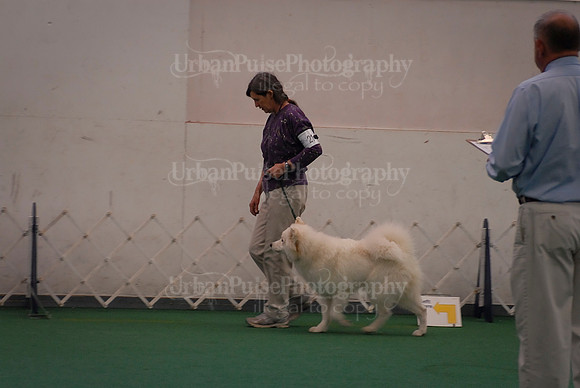 Obedience-3234