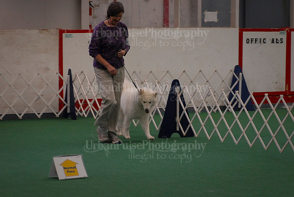 Obedience-3236
