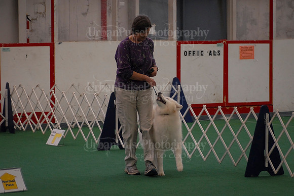 Obedience-3237
