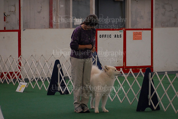 Obedience-3238