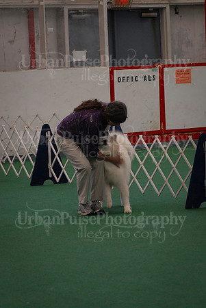 Obedience-3239