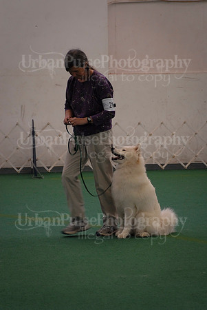 Obedience-3243