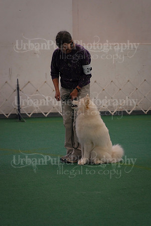Obedience-3244