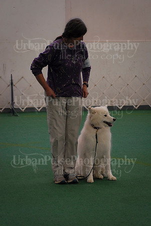 Obedience-3245