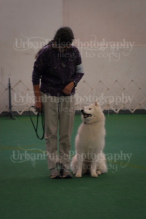 Obedience-3252