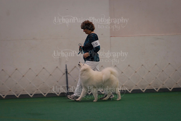 Obedience-3256