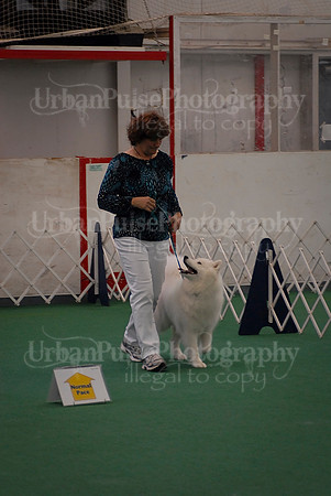Obedience-3258
