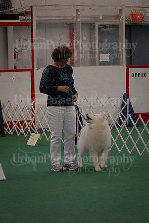Obedience-3259