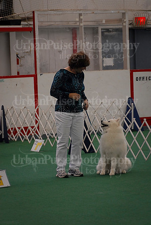 Obedience-3260