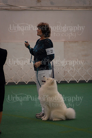 Obedience-3262