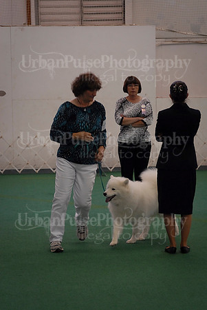 Obedience-3263